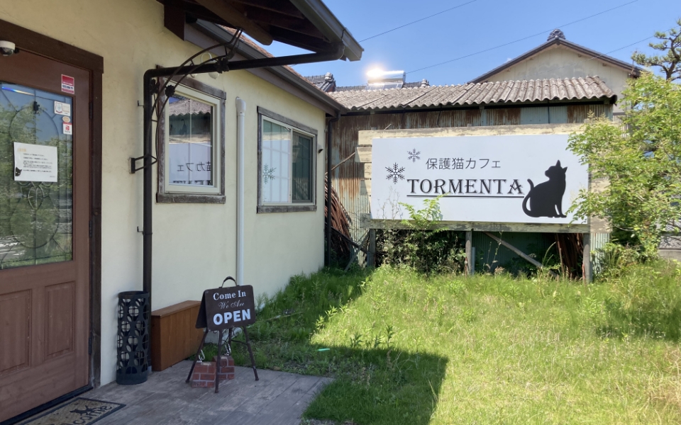 保護猫カフェ TORMENTA（豊川市）