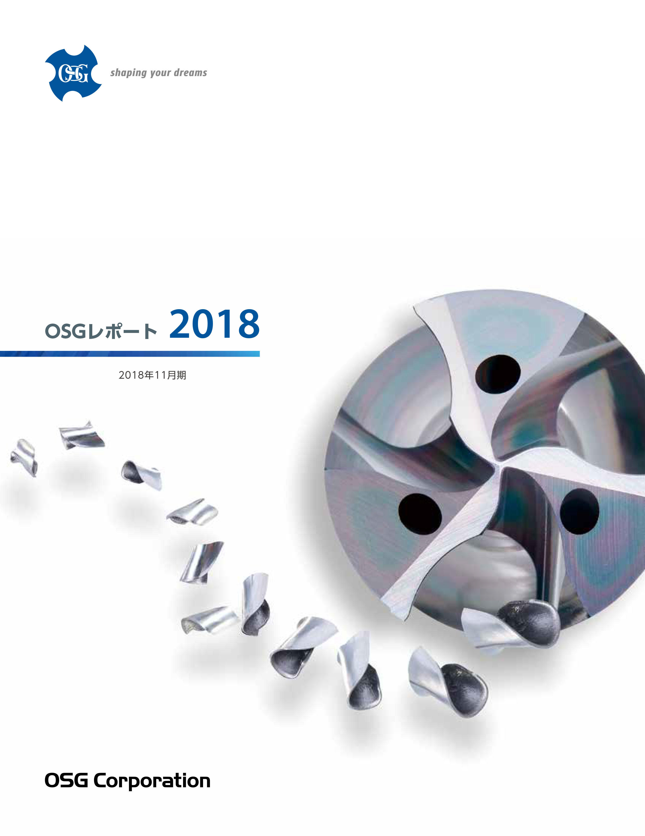 2018年版統合報告書