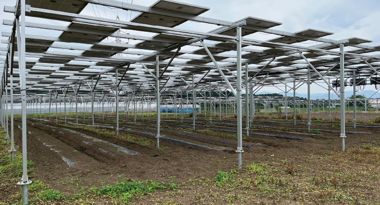 Agrivoltaic Off-Site PPA Installation