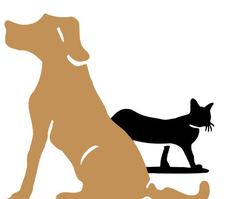 英語ワンポイント / like cats and dogs