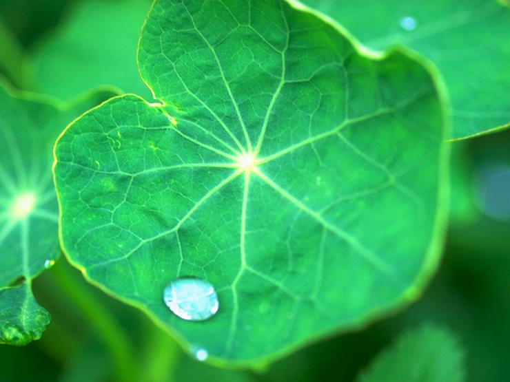 技術の玉手箱 / センタリング