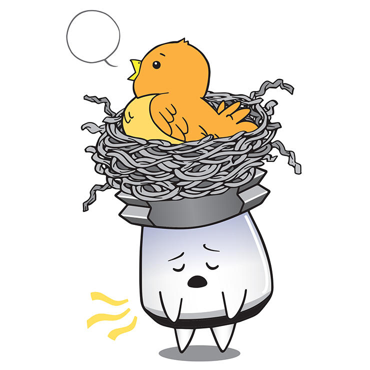 技術の玉手箱 / 長い切りくず